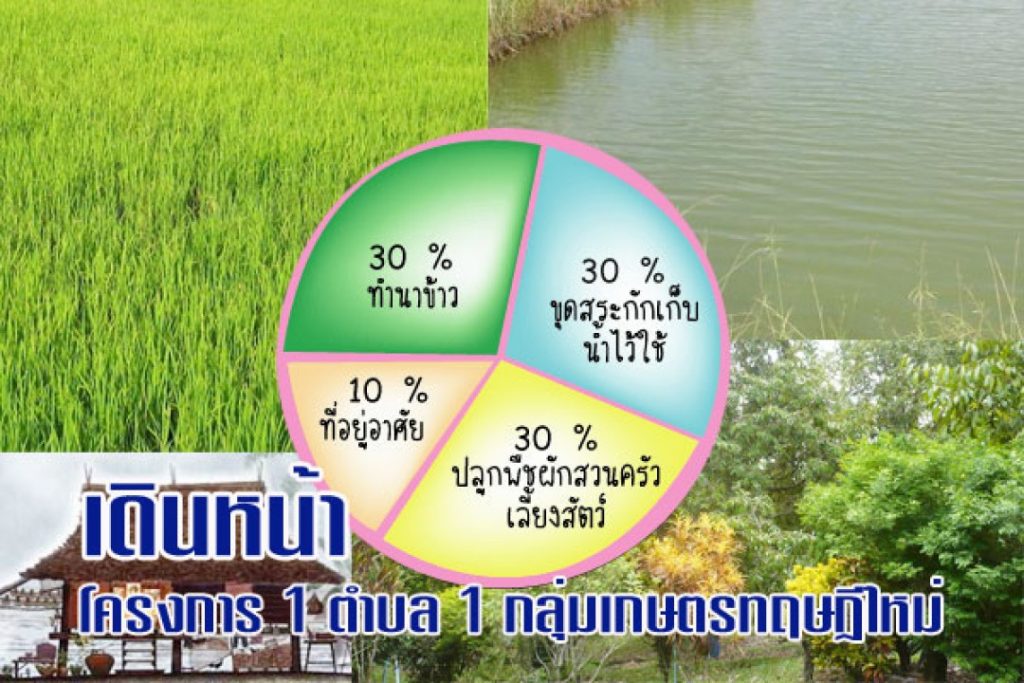 โครงการ 1 ตำบล 1 กลุ่มเกษตรทฤษฎีใหม่