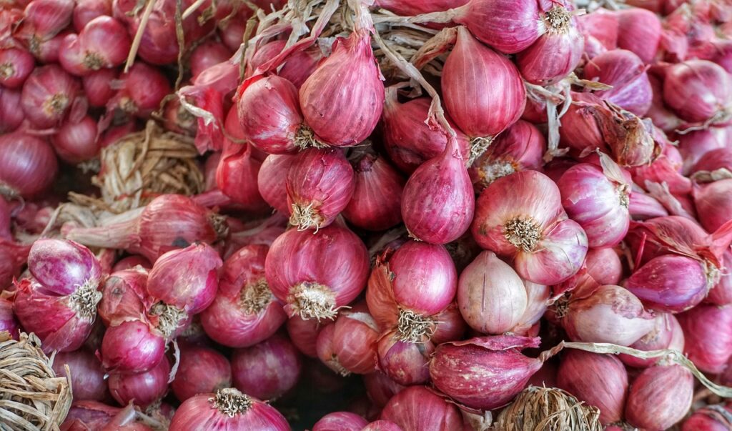 วิธีปลูกหอมแดง พืชผักสมุนไพรที่มีประโยชน์ต่อสุขภาพและเพื่อจำหน่าย